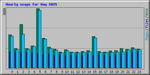 Hourly usage for May 2025