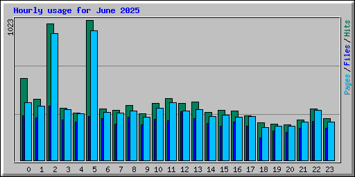 Hourly usage for June 2025