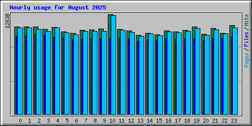 Hourly usage for August 2025