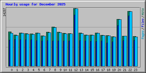 Hourly usage for December 2025