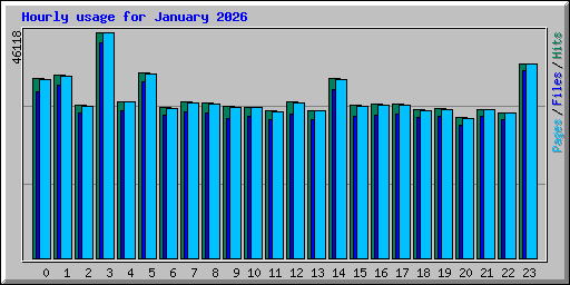 Hourly usage for January 2026