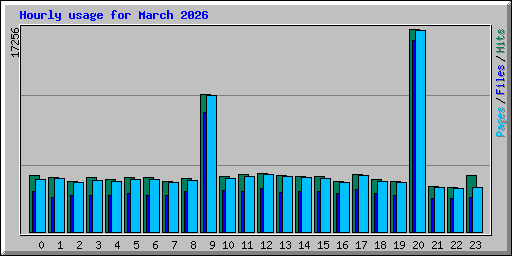 Hourly usage for March 2026