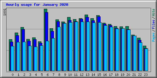 Hourly usage for January 2020