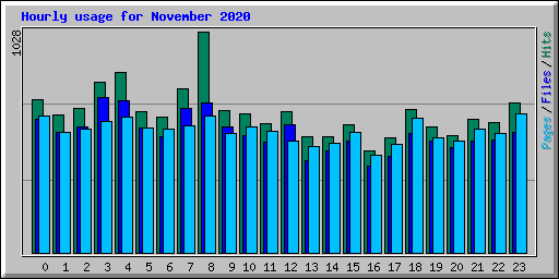 Hourly usage for November 2020