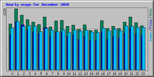 Hourly usage for December 2020