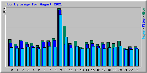 Hourly usage for August 2021