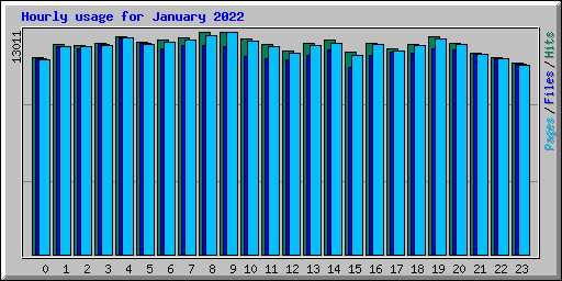 Hourly usage for January 2022