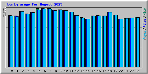 Hourly usage for August 2023