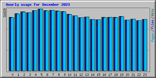 Hourly usage for December 2023