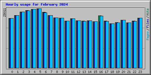 Hourly usage for February 2024