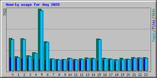 Hourly usage for May 2025