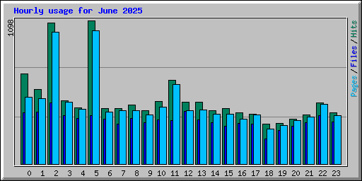 Hourly usage for June 2025