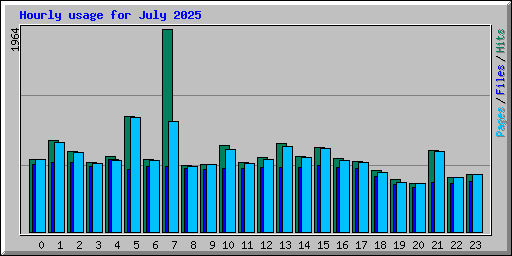 Hourly usage for July 2025
