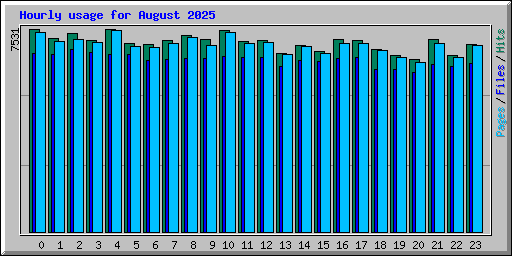 Hourly usage for August 2025