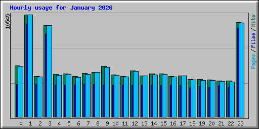 Hourly usage for January 2026
