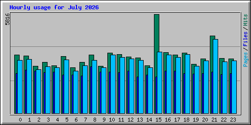 Hourly usage for July 2026